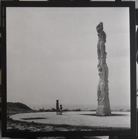 Evitceles : Accession (LP, Album)