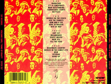 Volcano Suns : Thing Of Beauty (CD, Album)