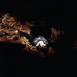 Emily Jane White : Victorian America (2xLP, Album)