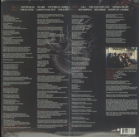 Emily Jane White : Victorian America (2xLP, Album)