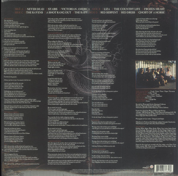 Emily Jane White : Victorian America (2xLP, Album)