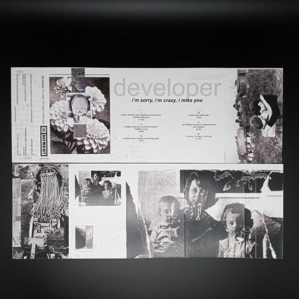 Developer (2) : I'm Sorry, I'm Crazy, I Miss You (Cass, Album, Ltd, C60)