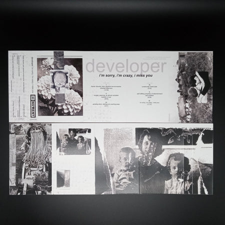 Developer (2) : I'm Sorry, I'm Crazy, I Miss You (Cass, Album, Ltd, C60)