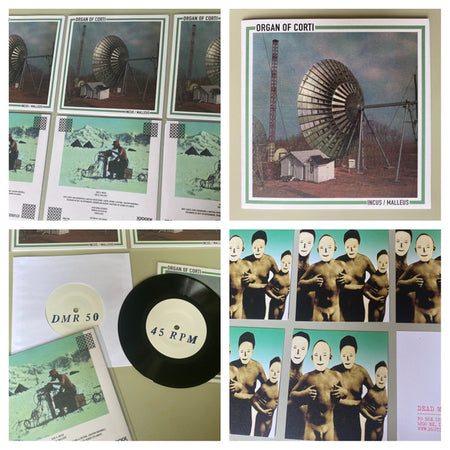 Organ Of Corti : Incus / Malleus (7", Single, Ltd)