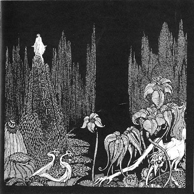 Diaphragm : Gauze (CD)