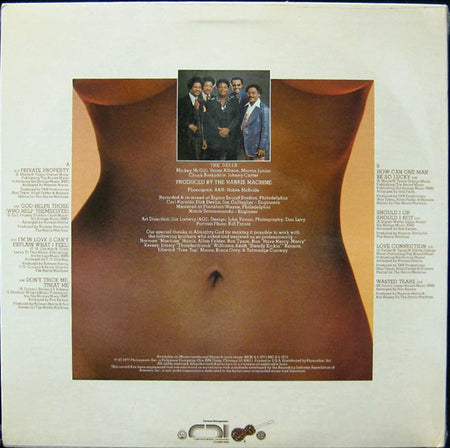 The Dells : Love Connection (LP, Album)