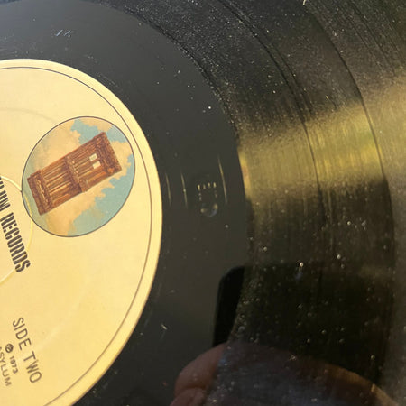 David Blue : Nice Baby And The Angel (LP, Album, Pre)