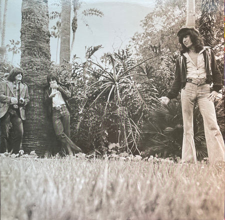 Bill Wyman : Monkey Grip (LP, Album, PR )
