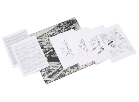 Incapacitants : Feedback Of N.M.S. (2xLP, Ltd, RE)