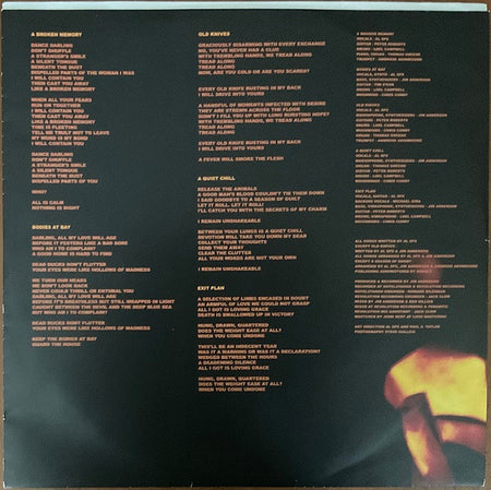 Cold Specks : Neuroplasticity (LP, Album, 180)