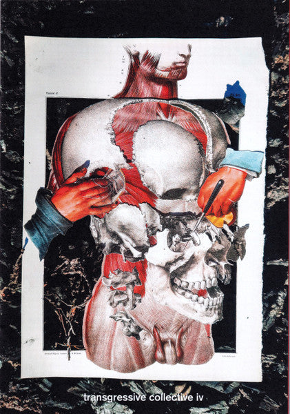 Various : Transgressive Collective IV (CD, Comp, Ltd)