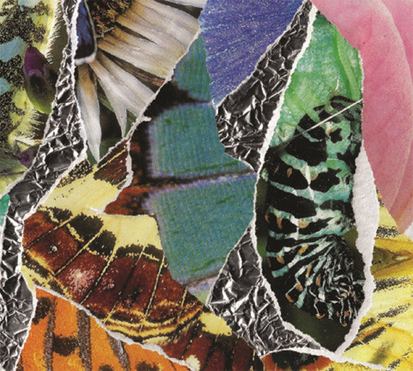 The New Harnessians : Dolor (CDr, Album)