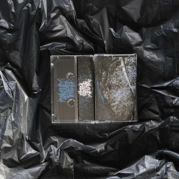 Vague Voices : II. Е​л​е​г​и​и (Cass)