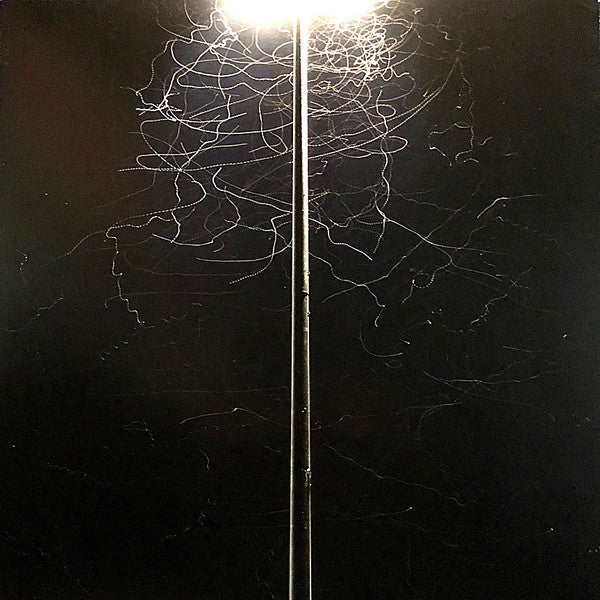Kate Rissiek : Decayed Signals (LP, Album)