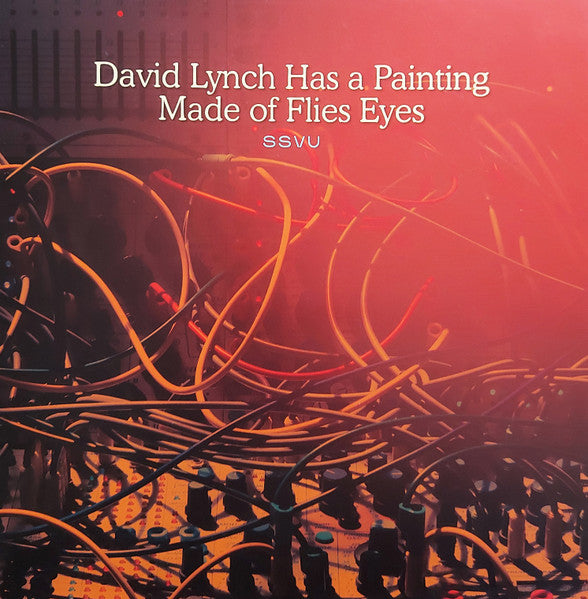 SSVU : David Lynch Has A Painting Made Of Flies Eyes / Suzanne Ciani (7", RSD, Single, Ltd)