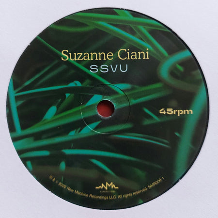 SSVU : David Lynch Has A Painting Made Of Flies Eyes / Suzanne Ciani (7", RSD, Single, Ltd)