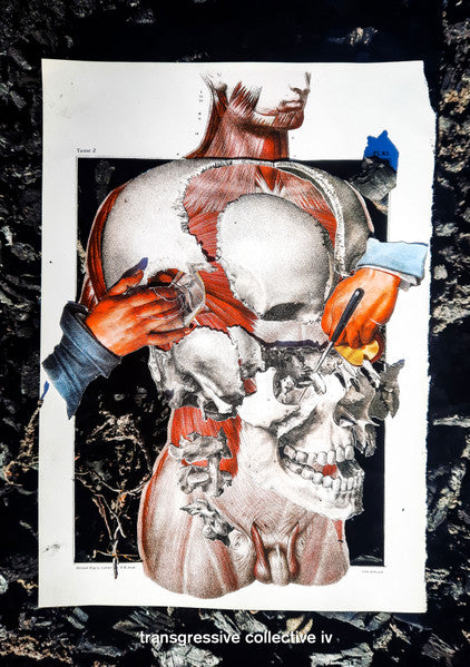 Various : Transgressive Collective IV (Cass, Comp, Ltd)