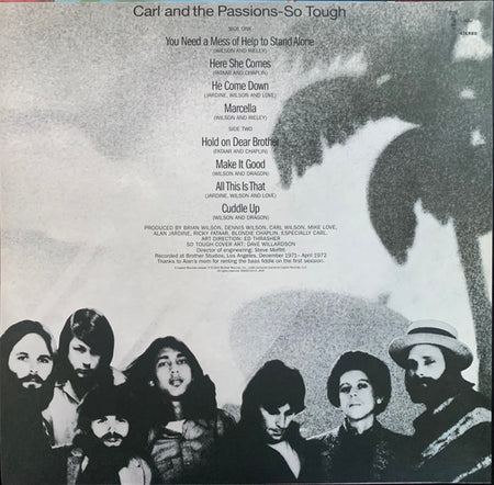 The Beach Boys : Sail On Sailor •1972• (LP, RE, RM + LP, RE, RM + 7", EP, RE, RM + 3xLP + )