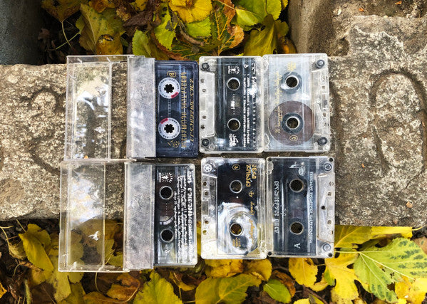 dolphin hospital : Live In თ​ბ​ი​ლ​ი​ს​ი (Cass, Mono, Ltd)