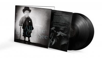 Joe Henry : All The Eye Can See (2xLP, Album)