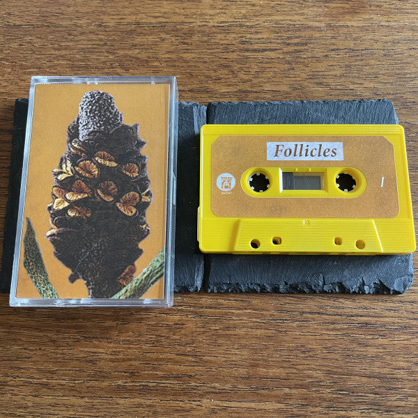Neandertaal : Follicles (Cass, EP)