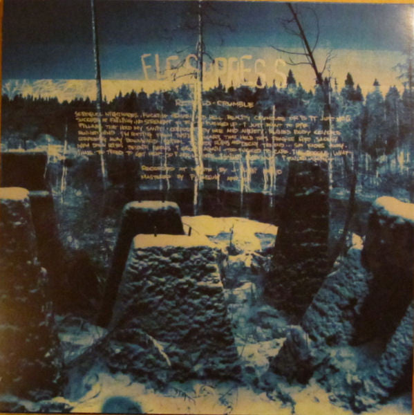 Fleshpress : Rebuild / Crumble (12", EP, Ltd)