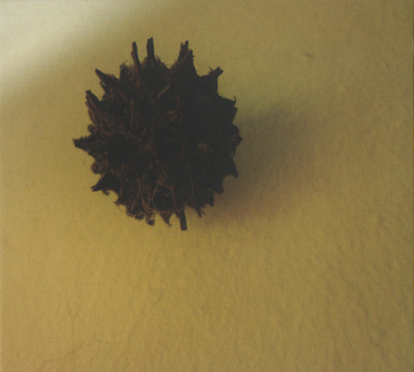 Jeph Jerman / Joachim Nordwall : Topology (CD, Album)