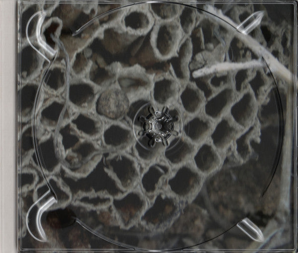 Jeph Jerman / Joachim Nordwall : Topology (CD, Album)
