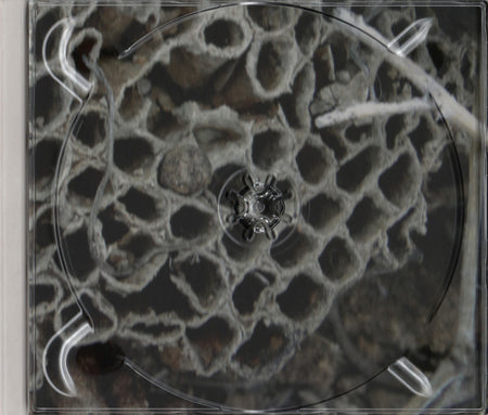 Jeph Jerman / Joachim Nordwall : Topology (CD, Album)