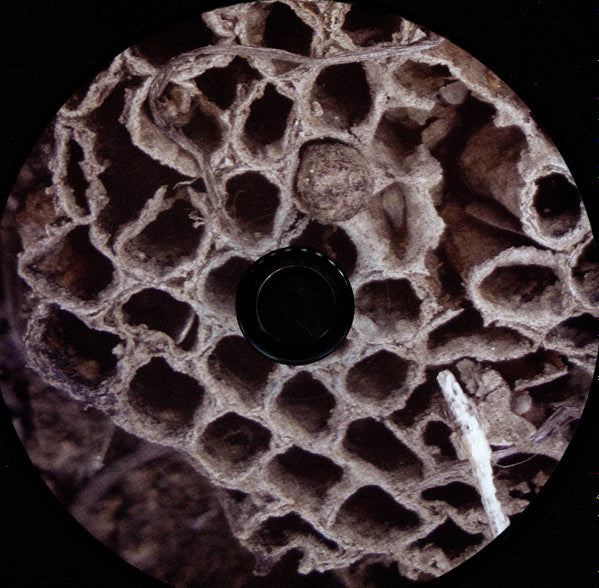 Jeph Jerman / Joachim Nordwall : Topology (CD, Album)