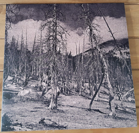 Hate Forest : Sorrow (LP, Album, Ltd, RE, Mar)