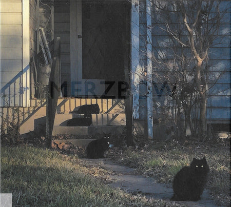 Merzbow : CATalysis 猫媒 (CD, Album, Ltd)