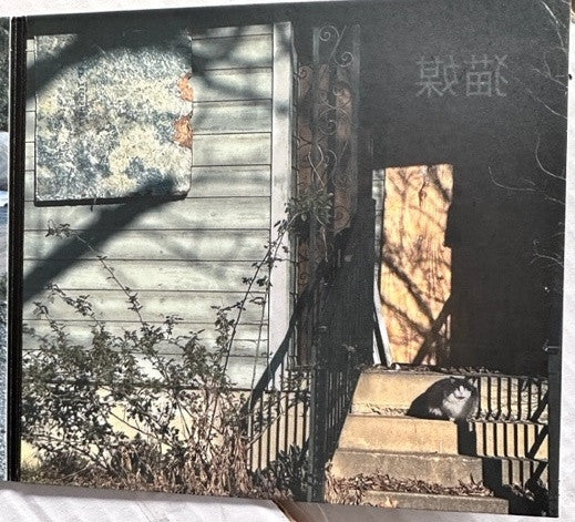 Merzbow : CATalysis 猫媒 (CD, Album, Ltd)