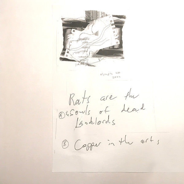 Max Nordile : Copper in the Arts (Lathe, LP)