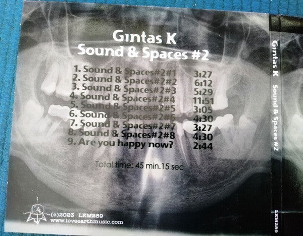 Gintas K : Sound & Spaces #2  (CDr, Album)