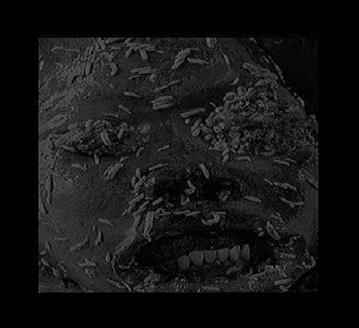 Pusdrainer : Drowning In Amniotic Putrescence (7", Ltd, W/Lbl, Cle)