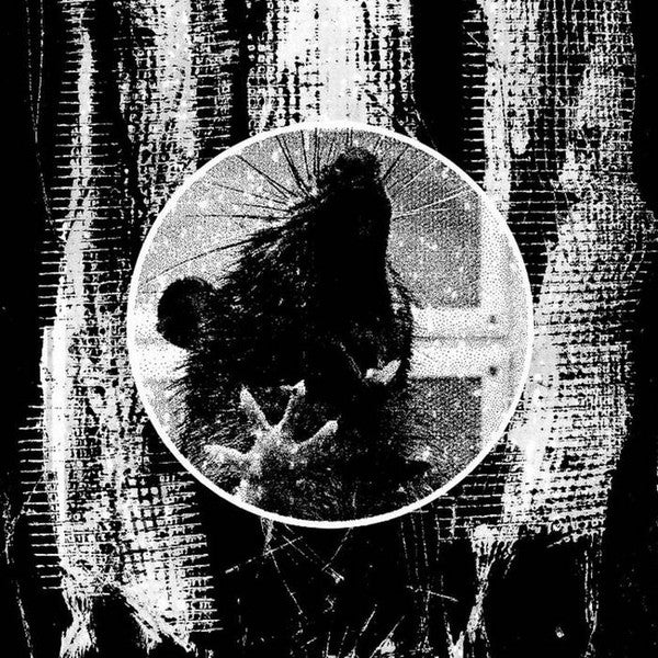Flesh Shuddering : Rat's Teeth (Cass, S/Sided, Album, C62)