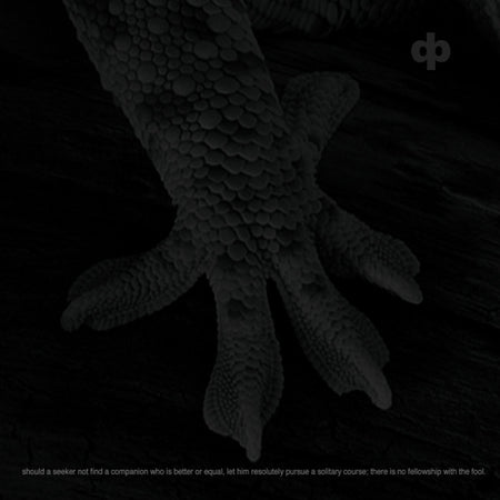 Dave Phillips : Should A Seeker Not Find A Companion Who Is Better Or Equal, Let Him Resolutely Pursue A Solitary Course; There Is No Fellowship With The Fool / Cicada Trance (2xCD, Comp)