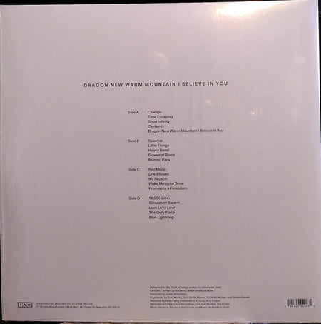 Big Thief : Dragon New Warm Mountain I Believe In You (2xLP, Album, RE, Opt)