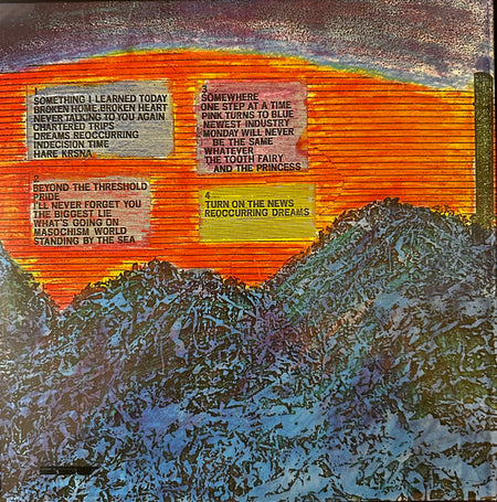 Hüsker Dü : Zen Arcade (2xLP, Album, RE, Gat)