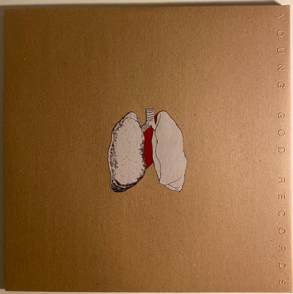 Swans : The Beggar (2xLP, Album)