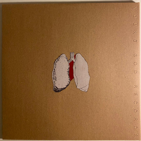 Swans : The Beggar (2xLP, Album)