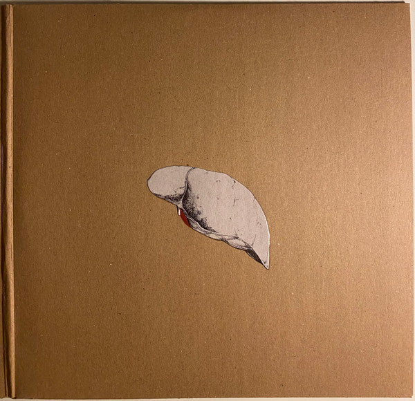 Swans : The Beggar (2xLP, Album)