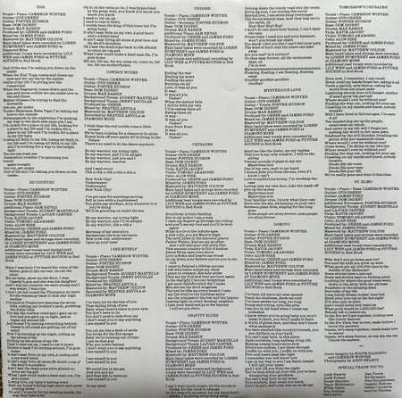 Geese (11) : 3D Country (LP, Album, Ltd, Cle)