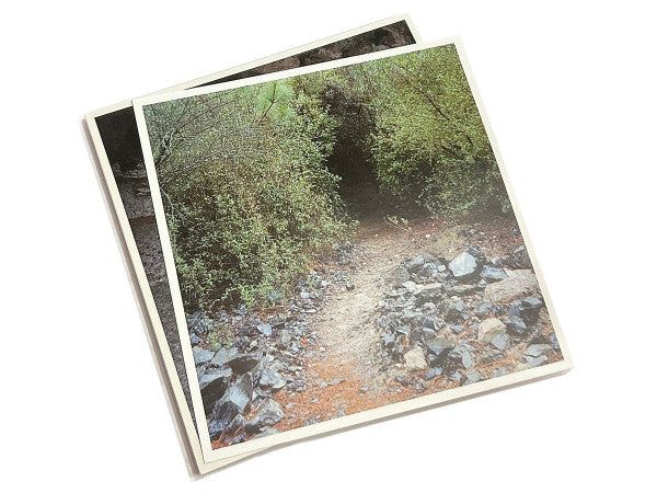 Concepción Huerta : The Earth Has Memory (LP, Album, Ltd)