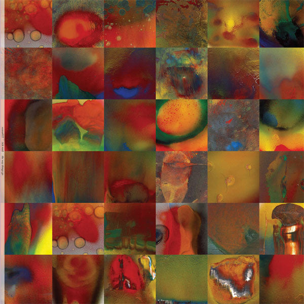 Rick Reed : The Way Things Go (2xLP, Album, Ltd)