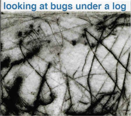 Caleb Chase : Looking At Bugs Under A Log (CDr)