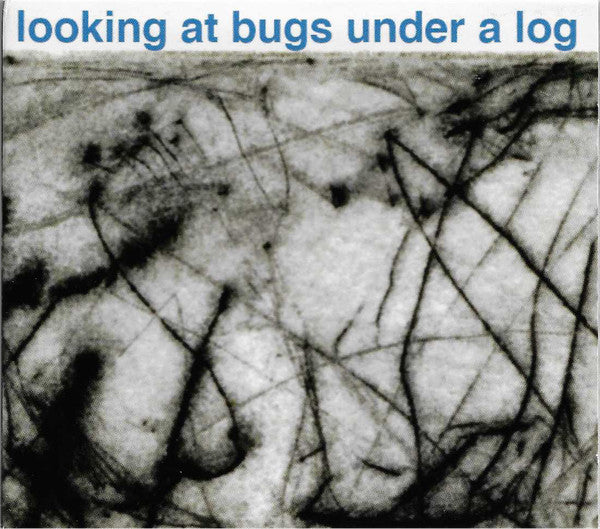 Caleb Chase : Looking At Bugs Under A Log (CDr)