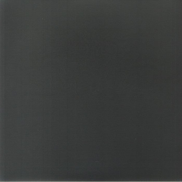 Boris (3) With Merzbow : 04092001 (LP, Album, RE, Sil)