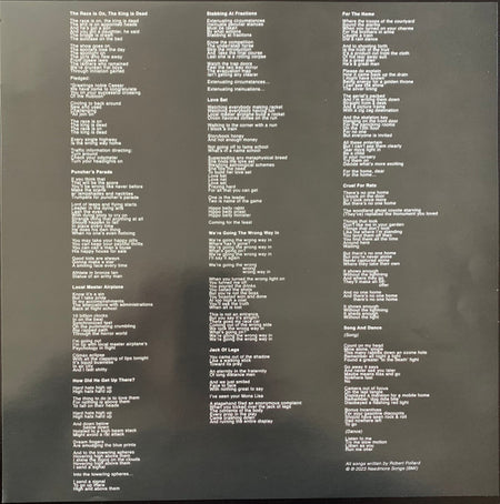 Guided By Voices : Nowhere To Go But Up (LP, Album)